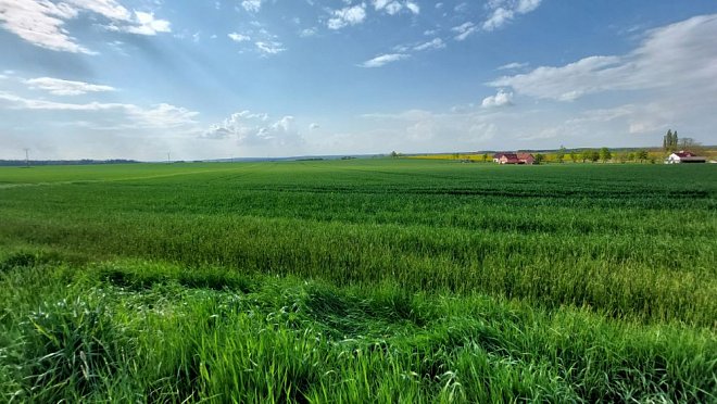 Ministr Výborný: Na zemědělce dopadá více změn najednou, s úpravou pachtovného za zemědělskou půdu proto začneme až v př