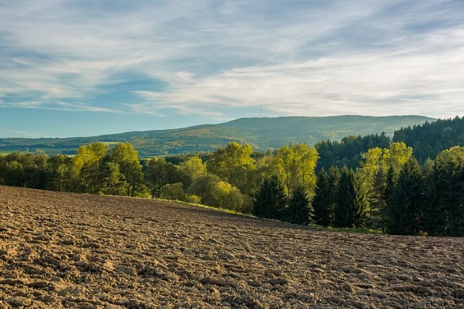 Na hraboše platí predátoři, hluboká orba a úklid polí