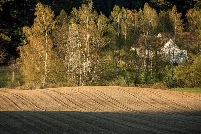 Jihočeští zemědělci se připravují na jarní práce