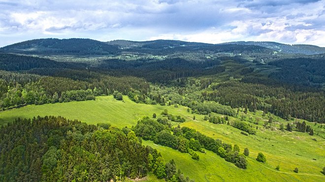 Nejvíce lesních pozemků v ČR je v Jihočeském kraji